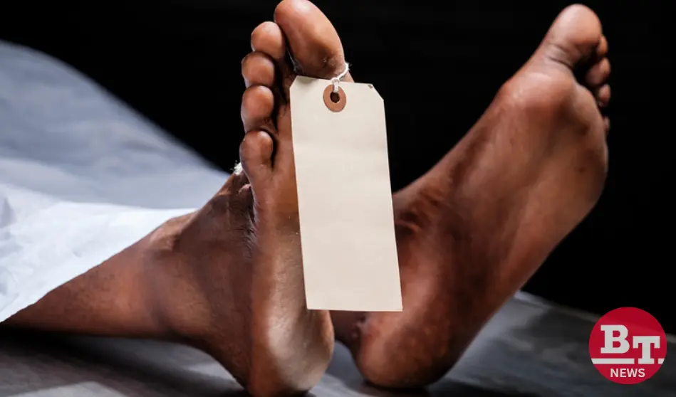 Bhandara News: 50-Year-Old Farmer Dies of Electric Shock While Starting Farm Motor